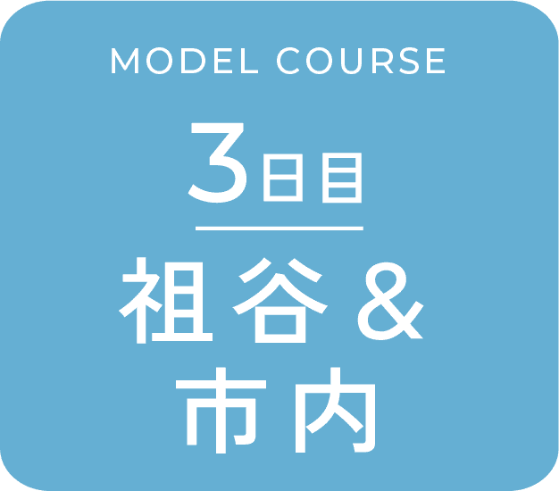 3日目 祖谷＆市内