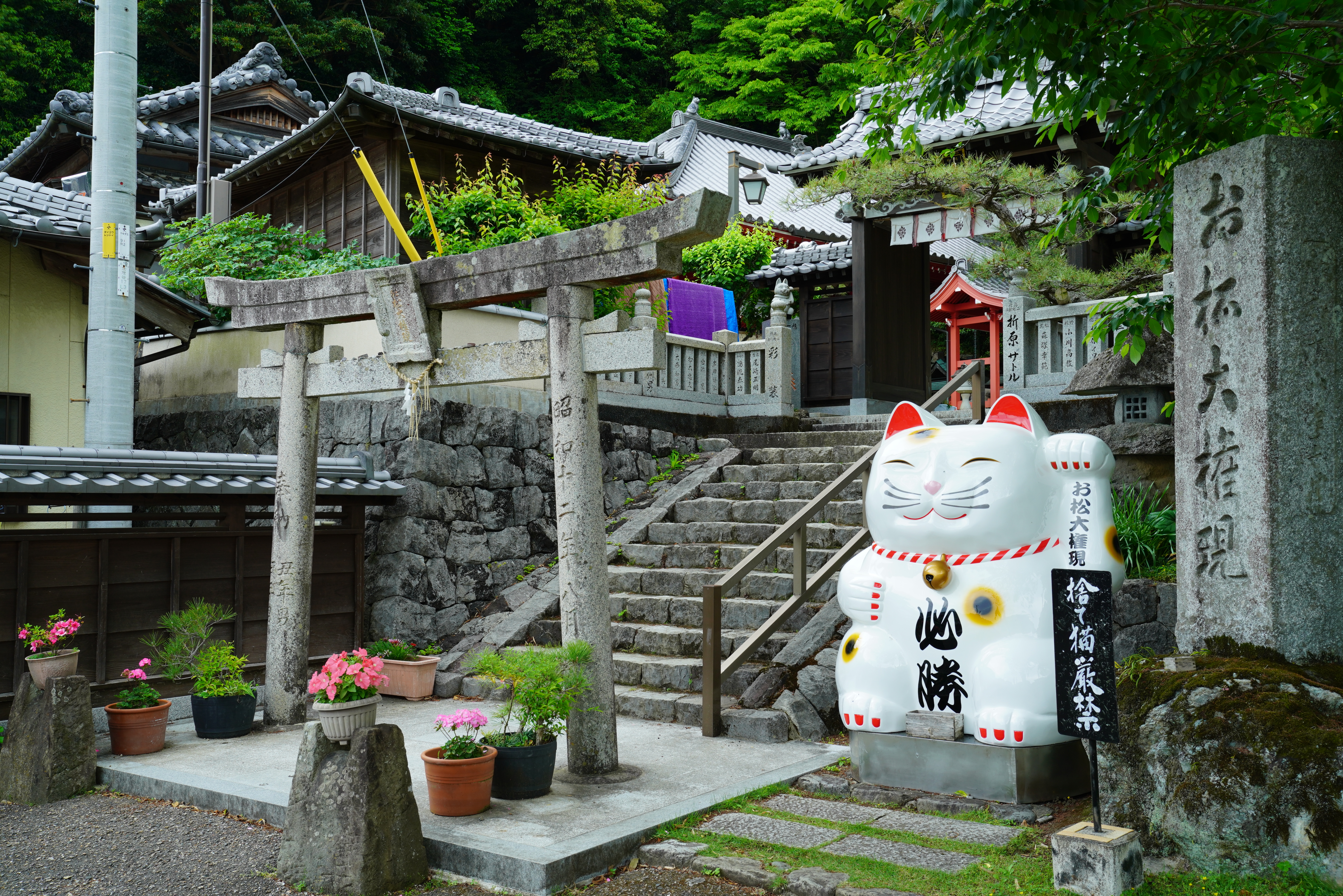 お松大権現 | 徳島県観光情報サイト阿波ナビ