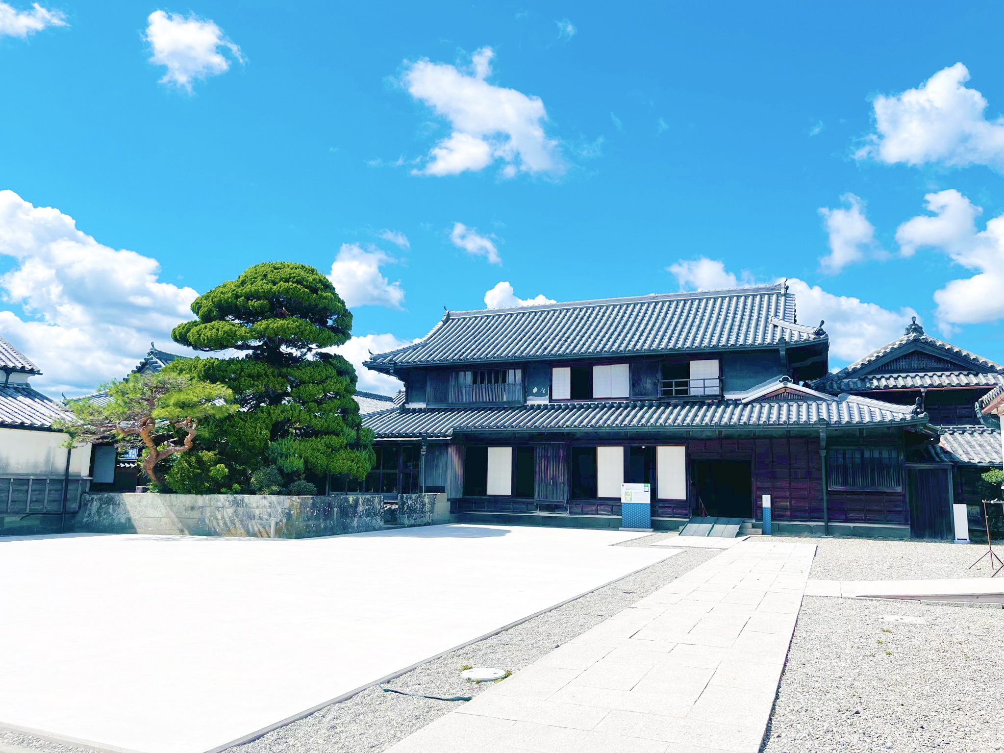 活動歴および当時の関連ビジュアル記録