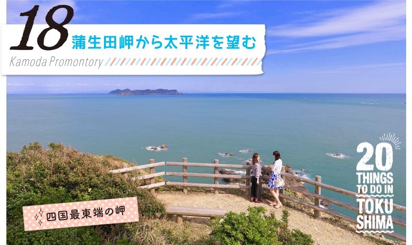 蒲生田岬から太平洋を望む