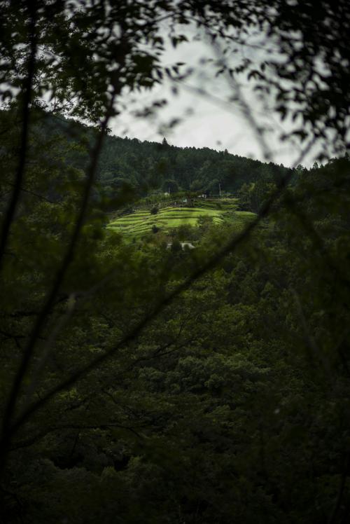 傾斜地農耕