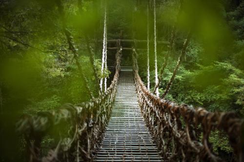 祖谷のかずら橋