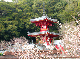 三番札所 金泉寺