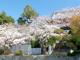 七番札所 十楽寺