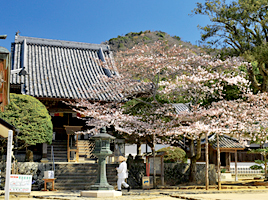 四番札所 大日寺