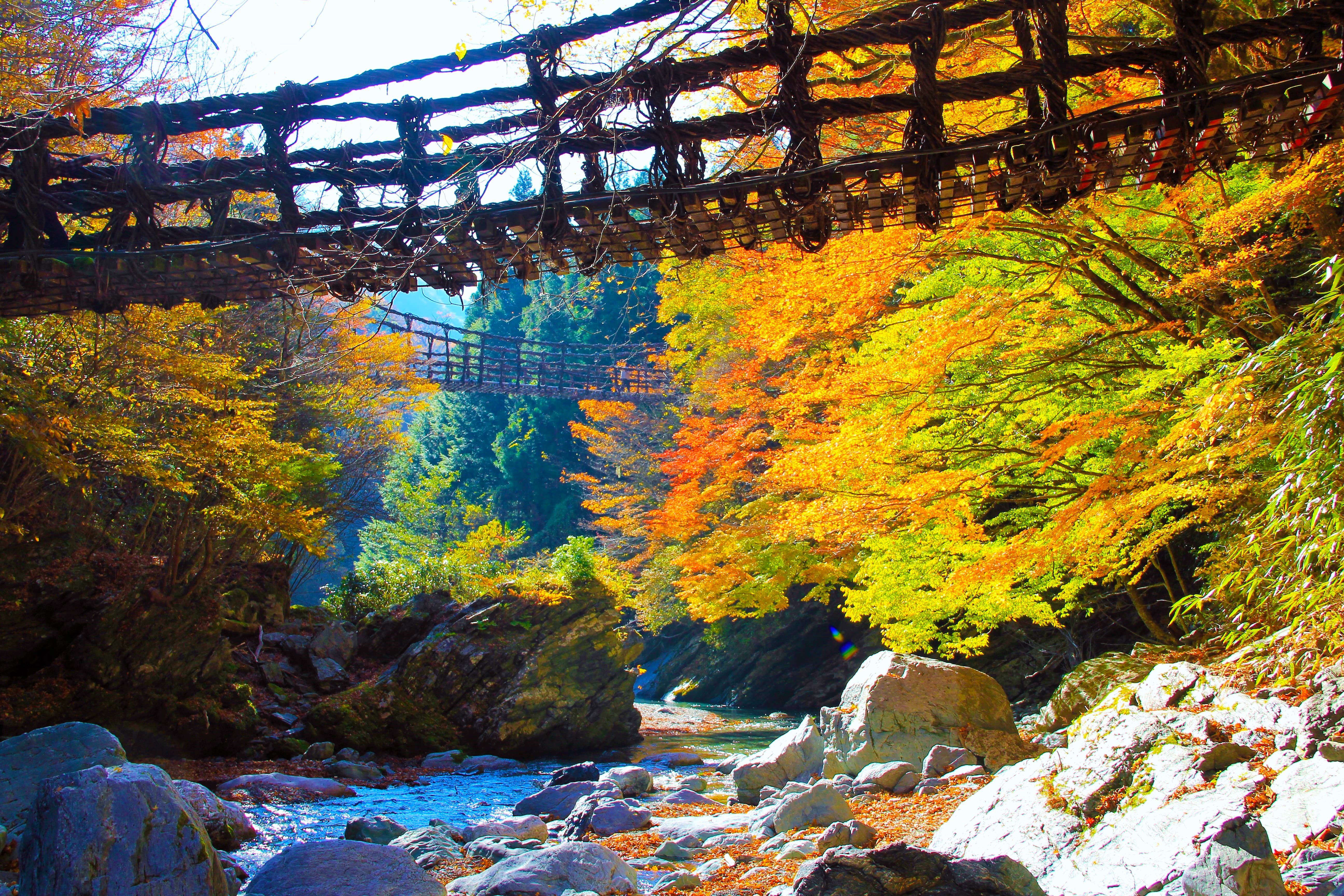 奥祖谷二重かずら橋