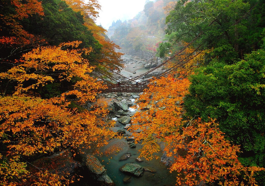 祖谷のかずら橋