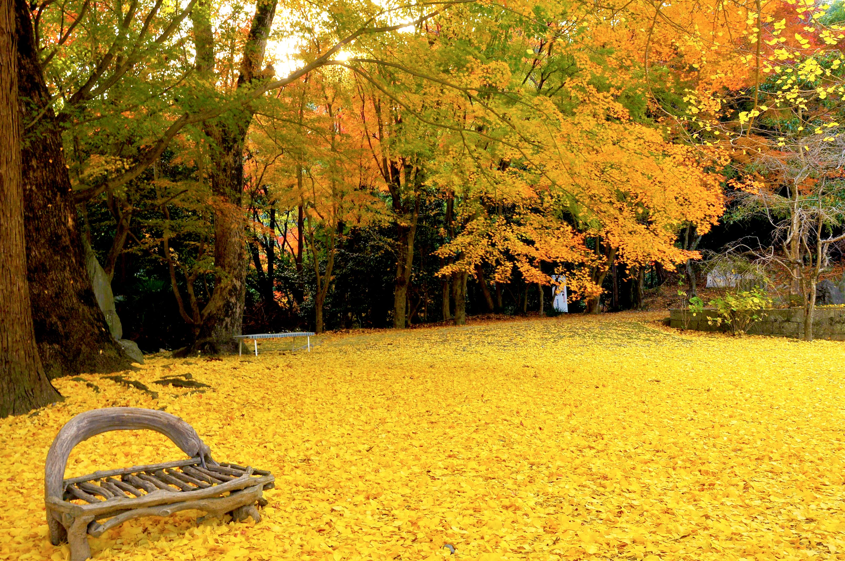 大山寺