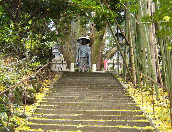 左右内（そうち）の一本杉（徳島県神山町）