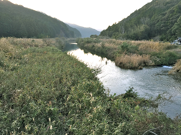 母川（徳島県海陽町）