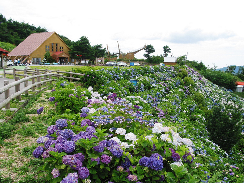  塩塚高原キャンプ場