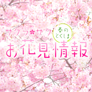 サクラ・サクお花見情報 | 徳島県観光情報サイト阿波ナビ