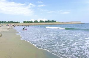 「海月」 海月。🪼🫧 (@Mizucurage0530) / Posts / X