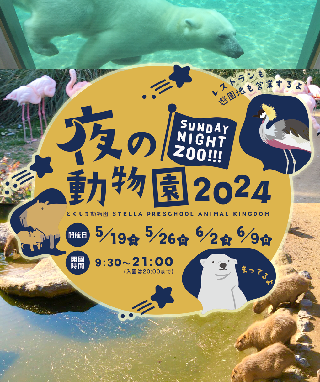 夜の動物園 Sunday Night Zoo!!! | 徳島県観光情報サイト阿波ナビ
