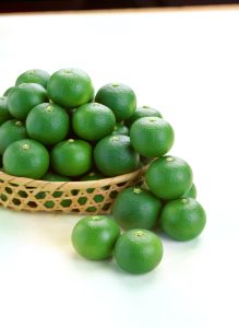 すだち | 徳島県観光情報サイト阿波ナビ