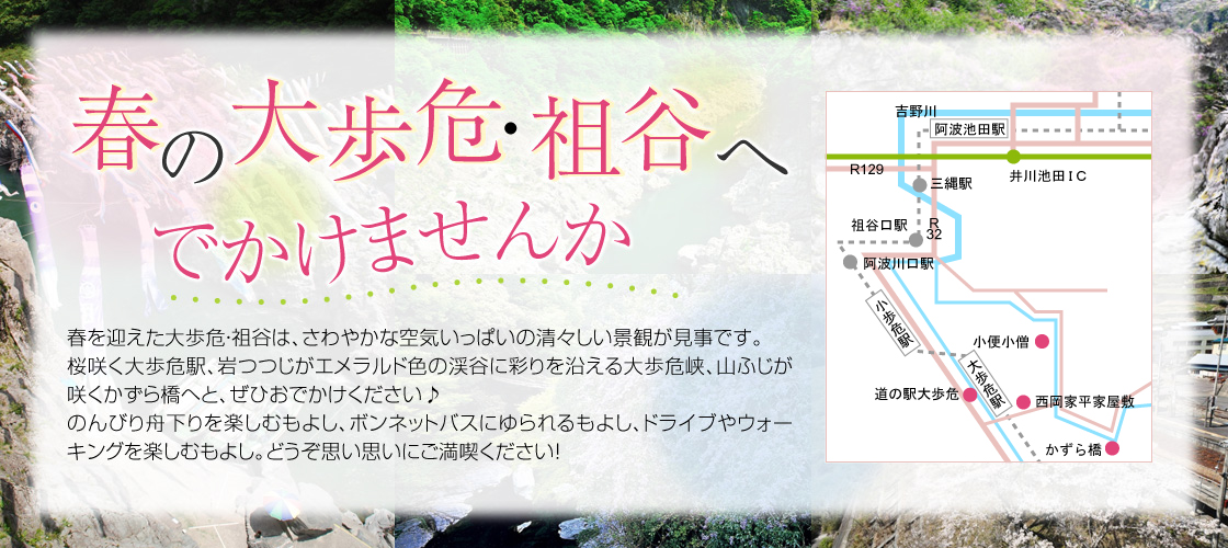 春の大歩危・祖谷へ出かけませんか