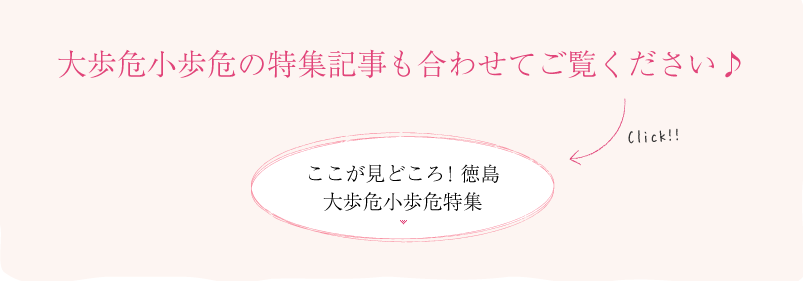 ここが見どころ！徳島大歩危小歩危特集