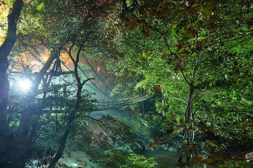 祖谷のかずら橋ライトアップの画像