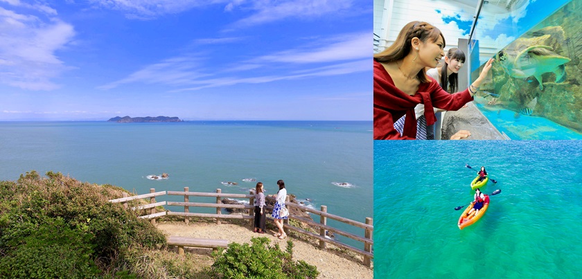 蒲生田岬・日和佐うみがめ博物館カレッタ・竹ヶ島海域公園の画像