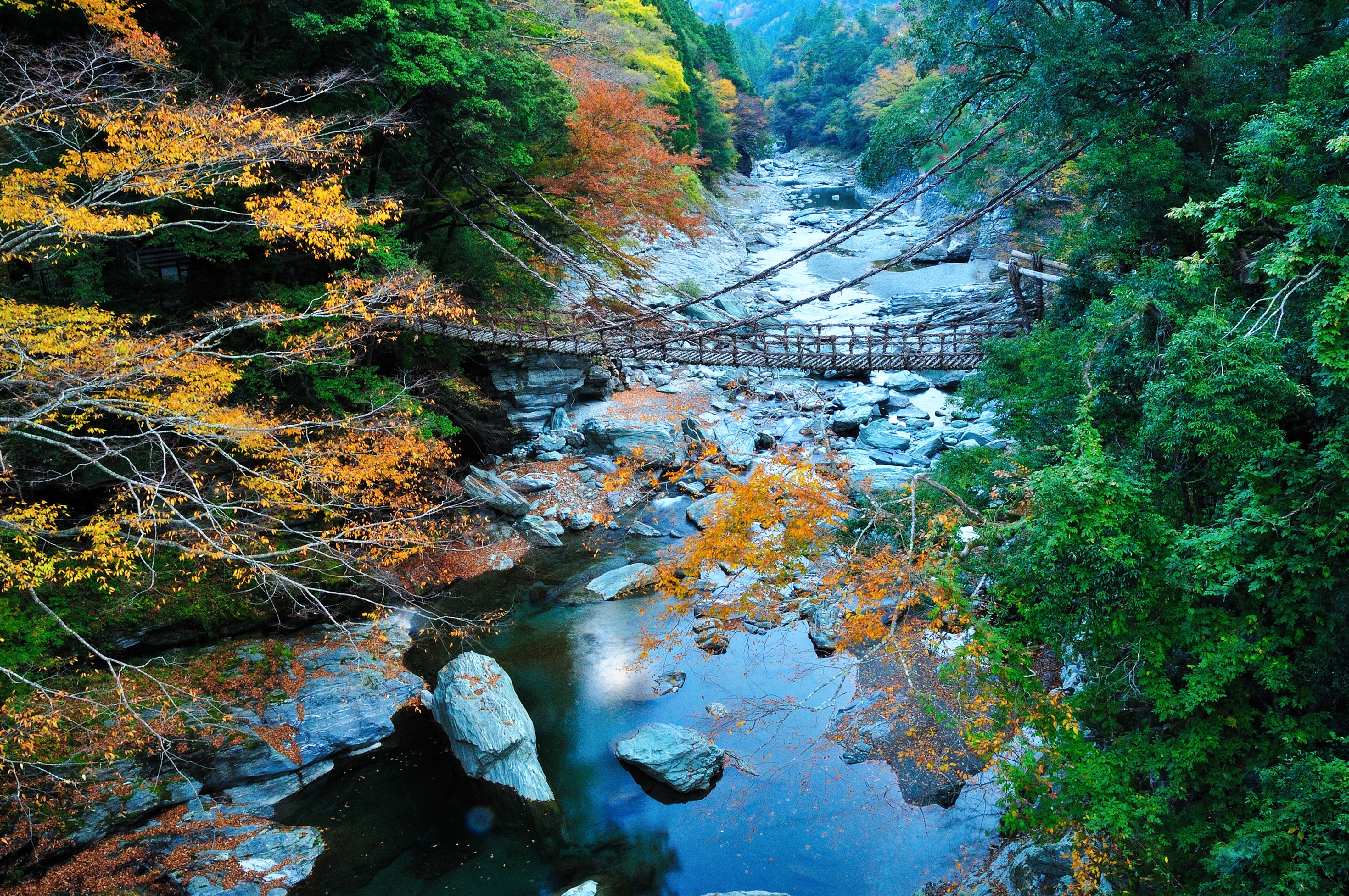 祖谷のかずら橋