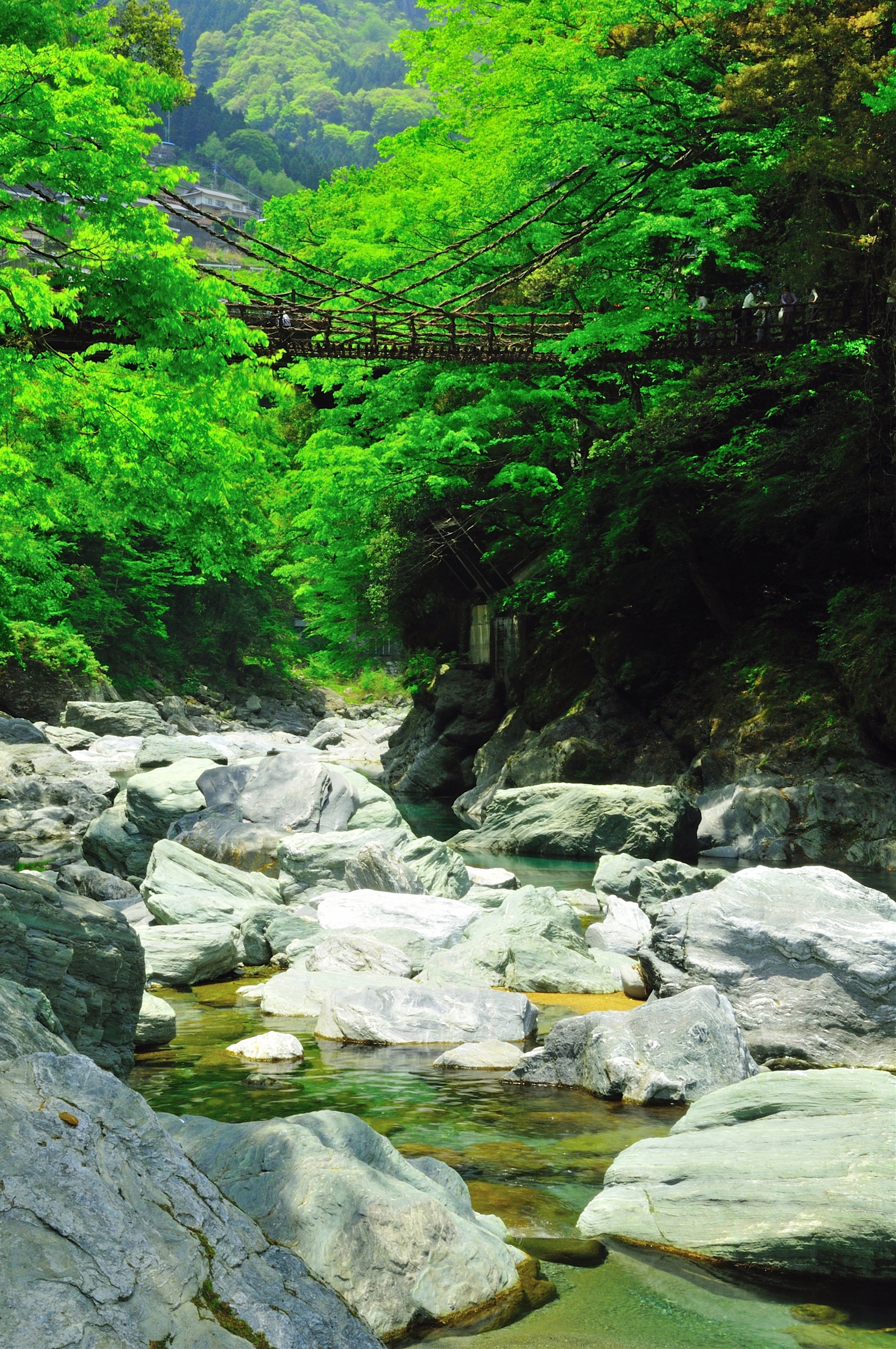 祖谷のかずら橋