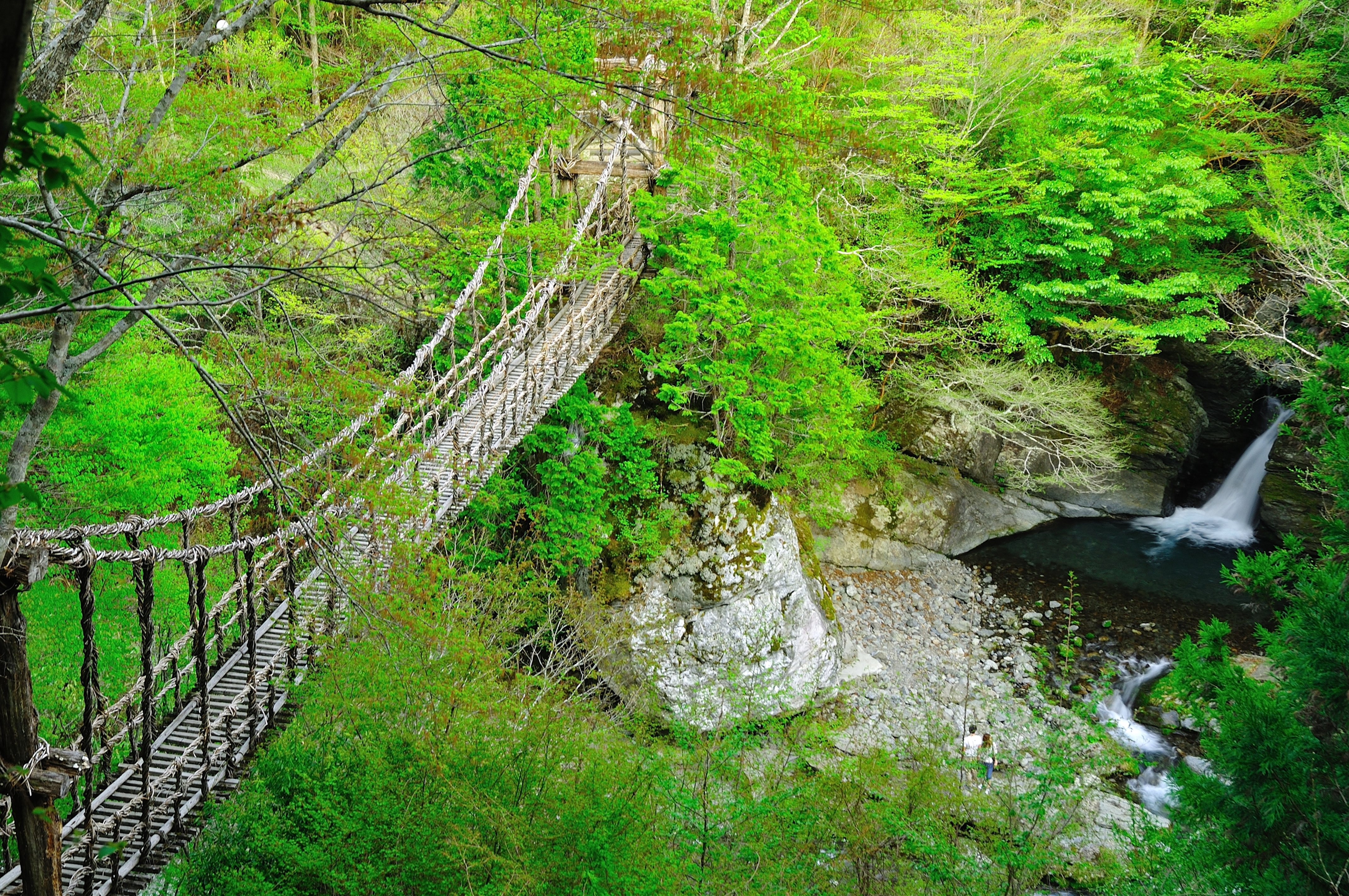 奥祖谷二重かずら橋