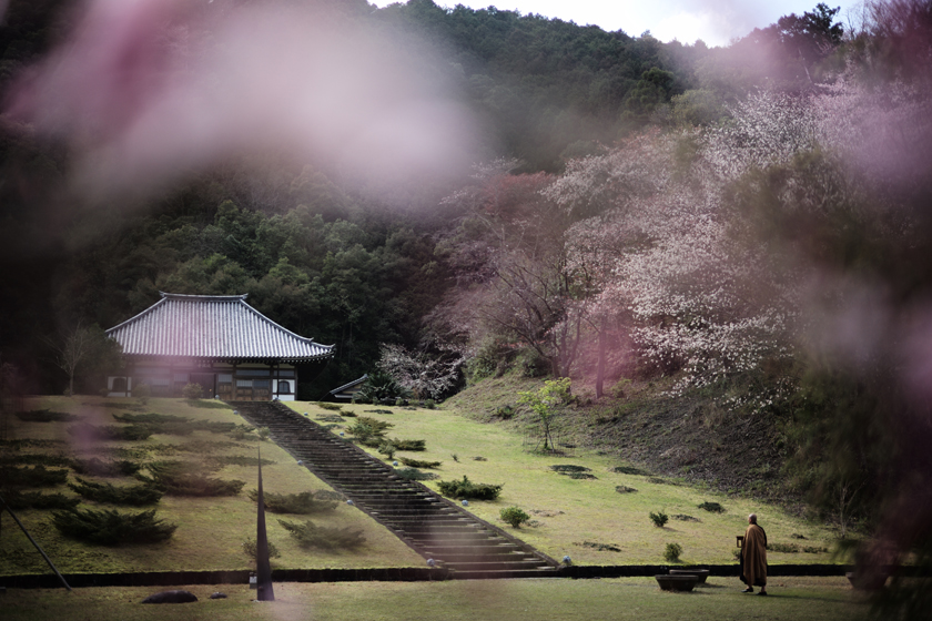 城満寺