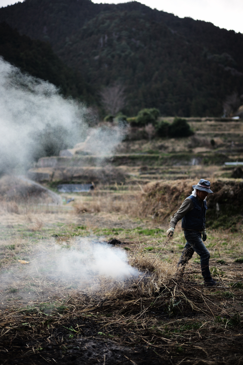 樫原の棚田