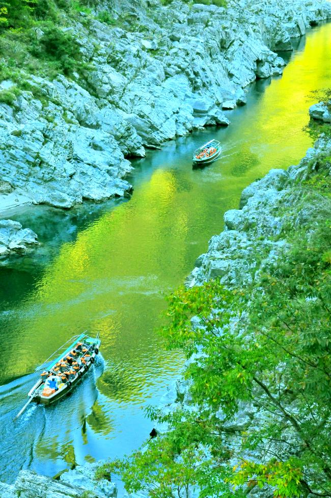 大歩危峡遊覧船