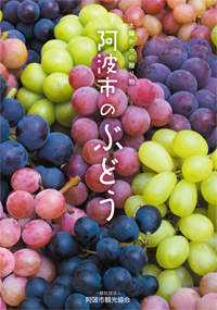 阿波市のぶどう