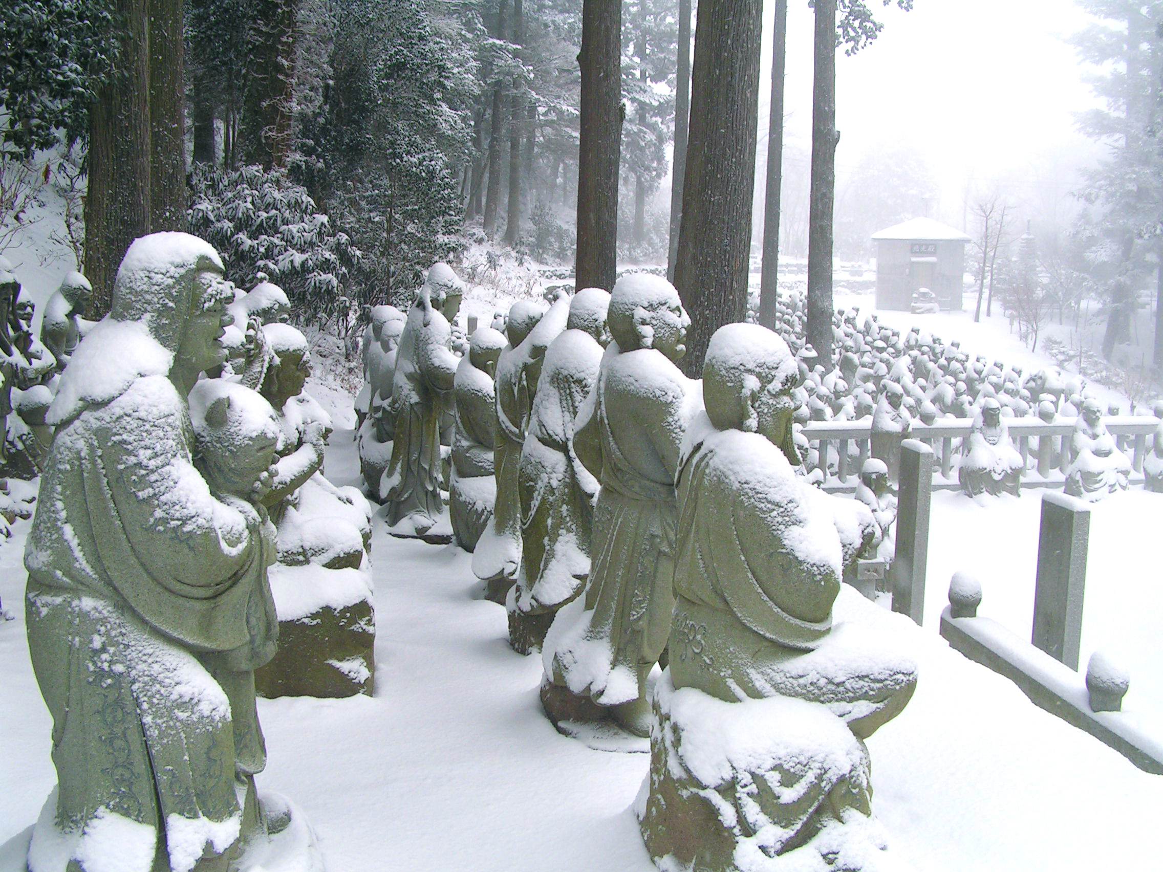 雲辺寺[第66番]