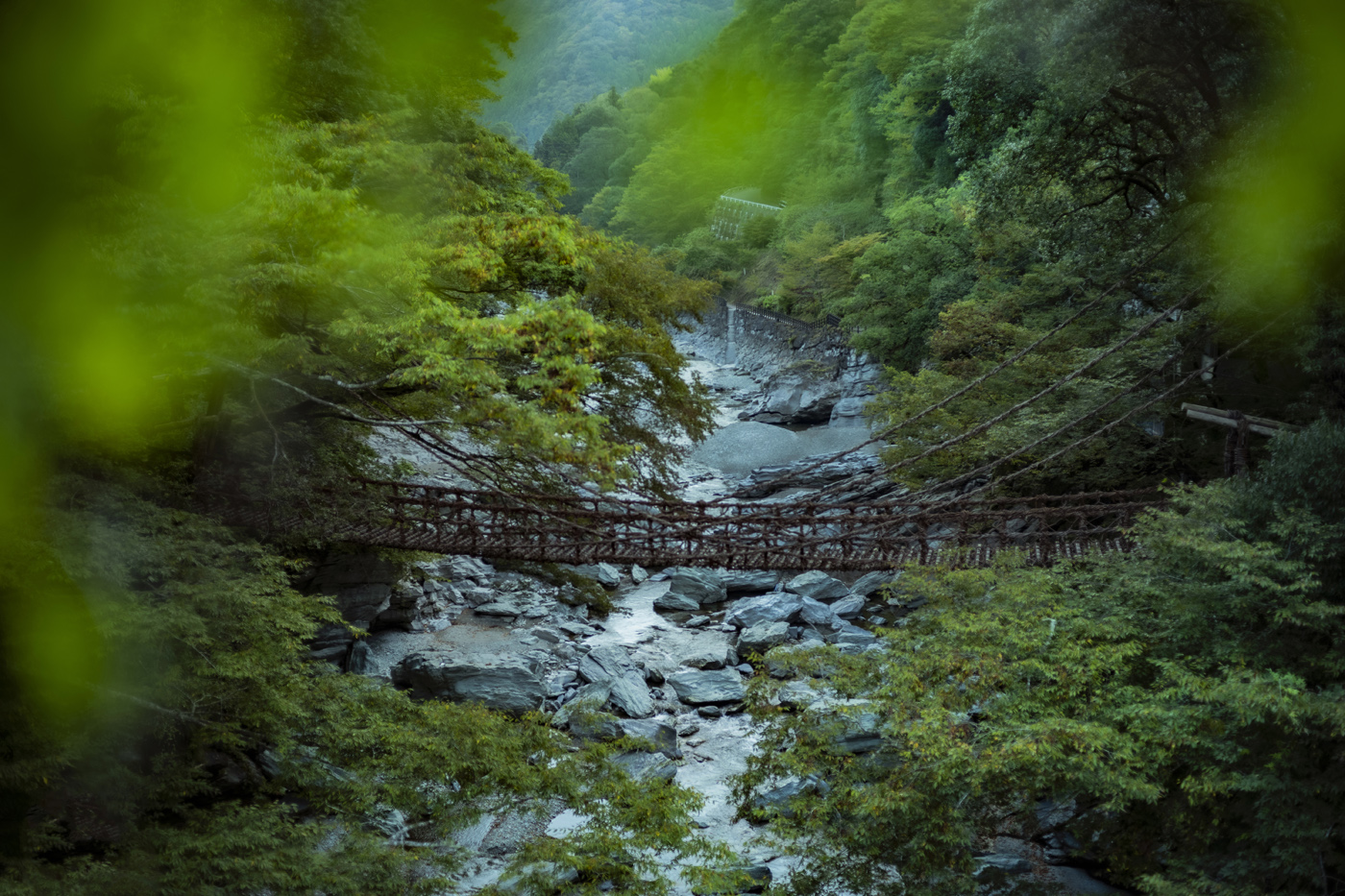 祖谷のかずら橋