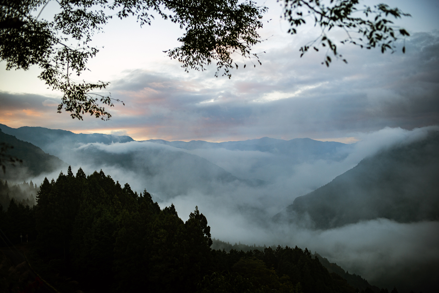 雲海