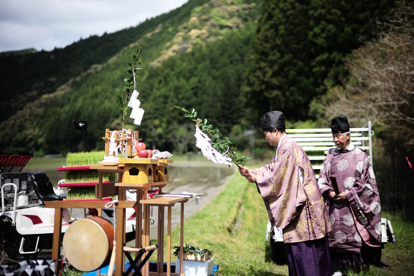 田植え