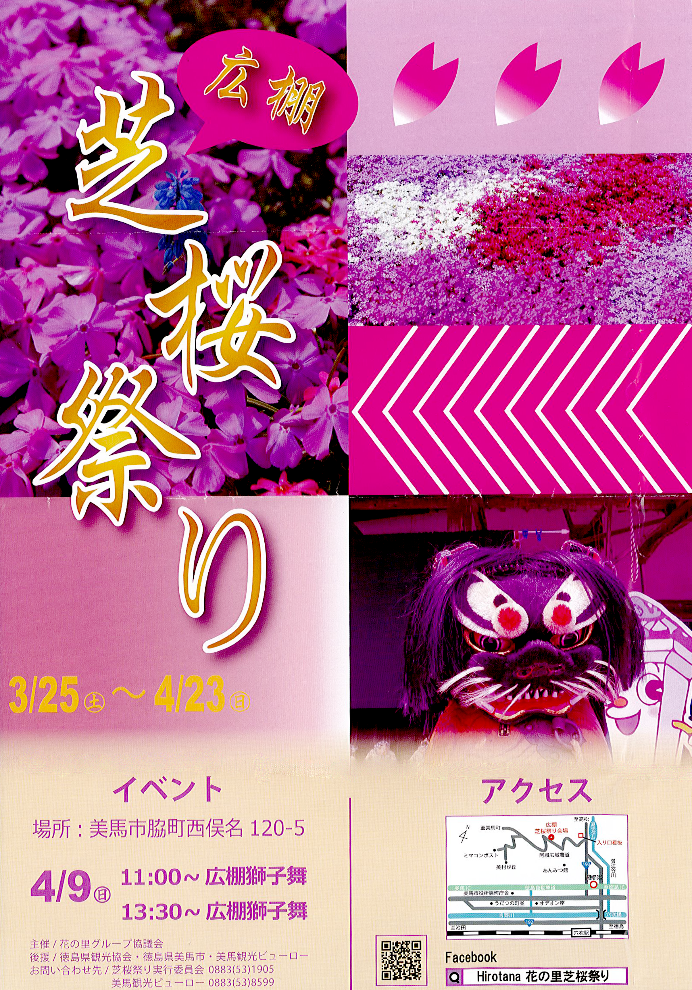 広棚　芝桜祭り