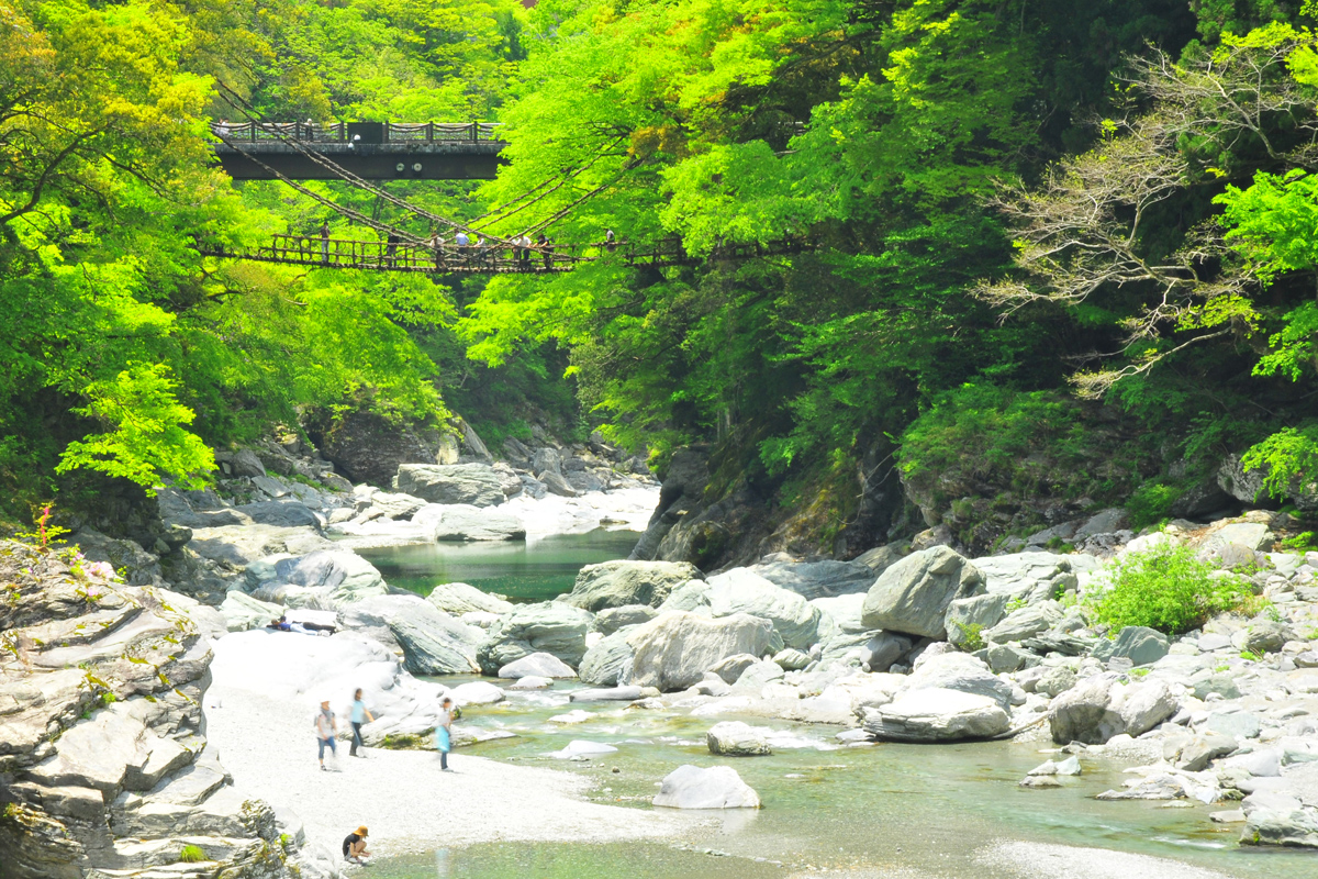 祖谷のかずら橋