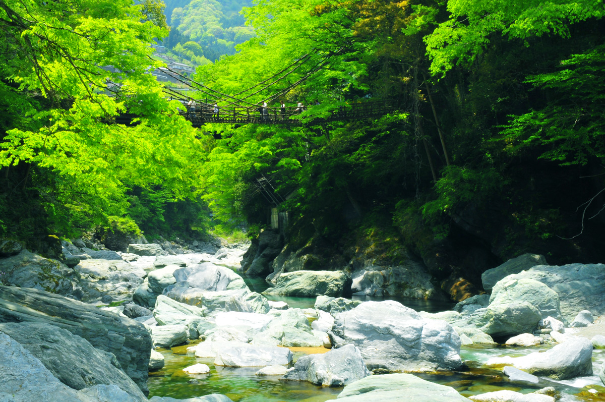 祖谷のかずら橋