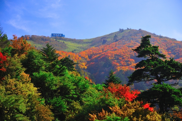 剣山の紅葉の画像