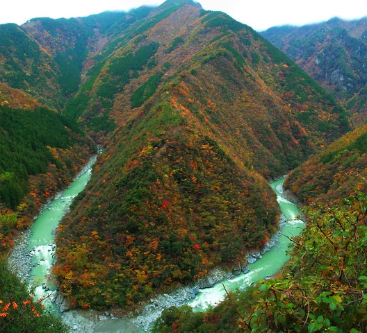 祖谷渓の画像