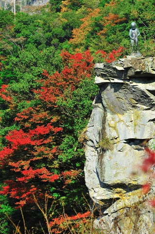祖谷渓の紅葉の画像