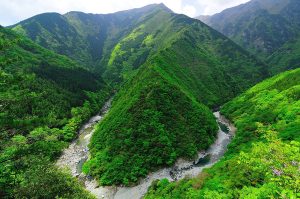 祖谷渓（ひの字渓谷） | 徳島県観光情報サイト阿波ナビ