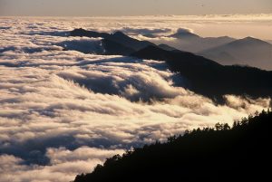 雲海 20245_26072_img-300x201.jpg