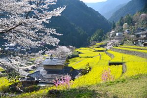 【中古】 良縁と幸運を招く数のチカラ/菜の花舎/大久保元春 20498_33662_img-300x199.jpg