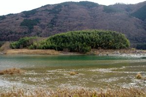 20694_39395_img-300x200.jpg