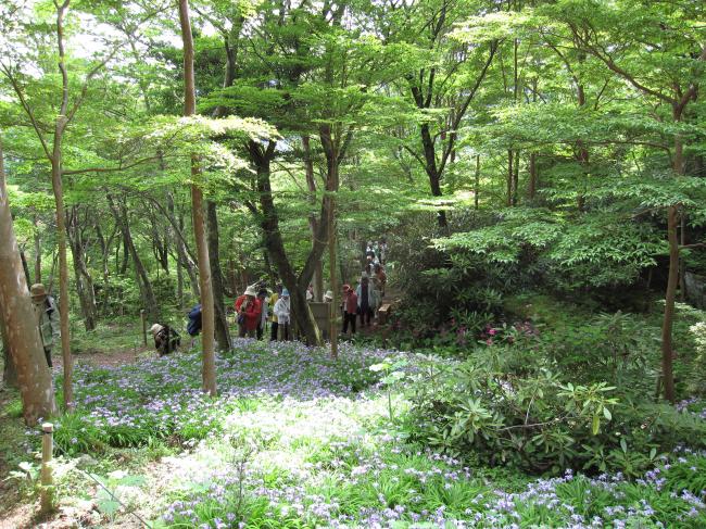 岳人の森キャンプ場の画像7