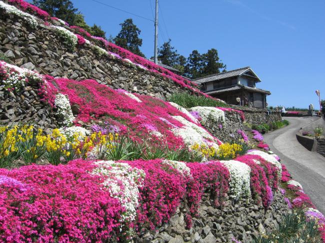 美郷物産館の画像5